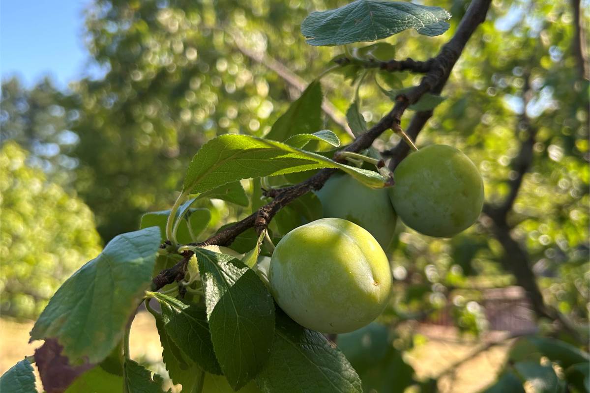 Appartamento con magazzino in vendita a Erba