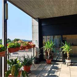 ERBA AMPIO QUADRILOCALE CON TERRAZZO
