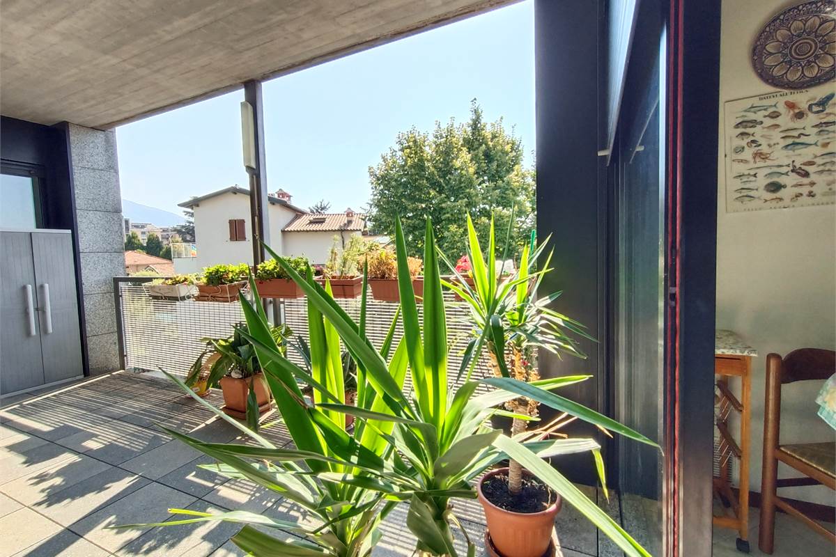ERBA AMPIO QUADRILOCALE CON TERRAZZO