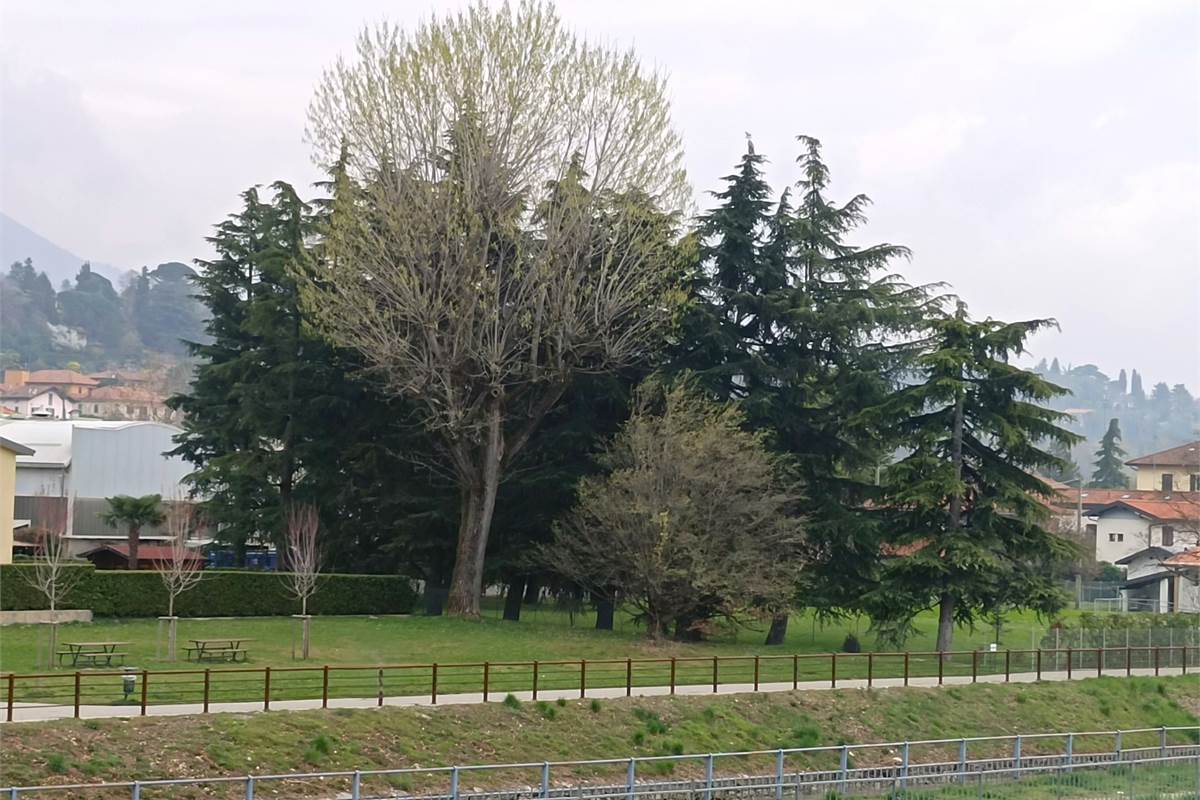 ERBA VENDESI TRILOCALE CON BALCONE