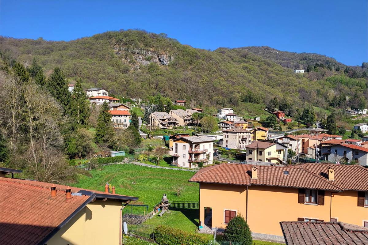 Vista