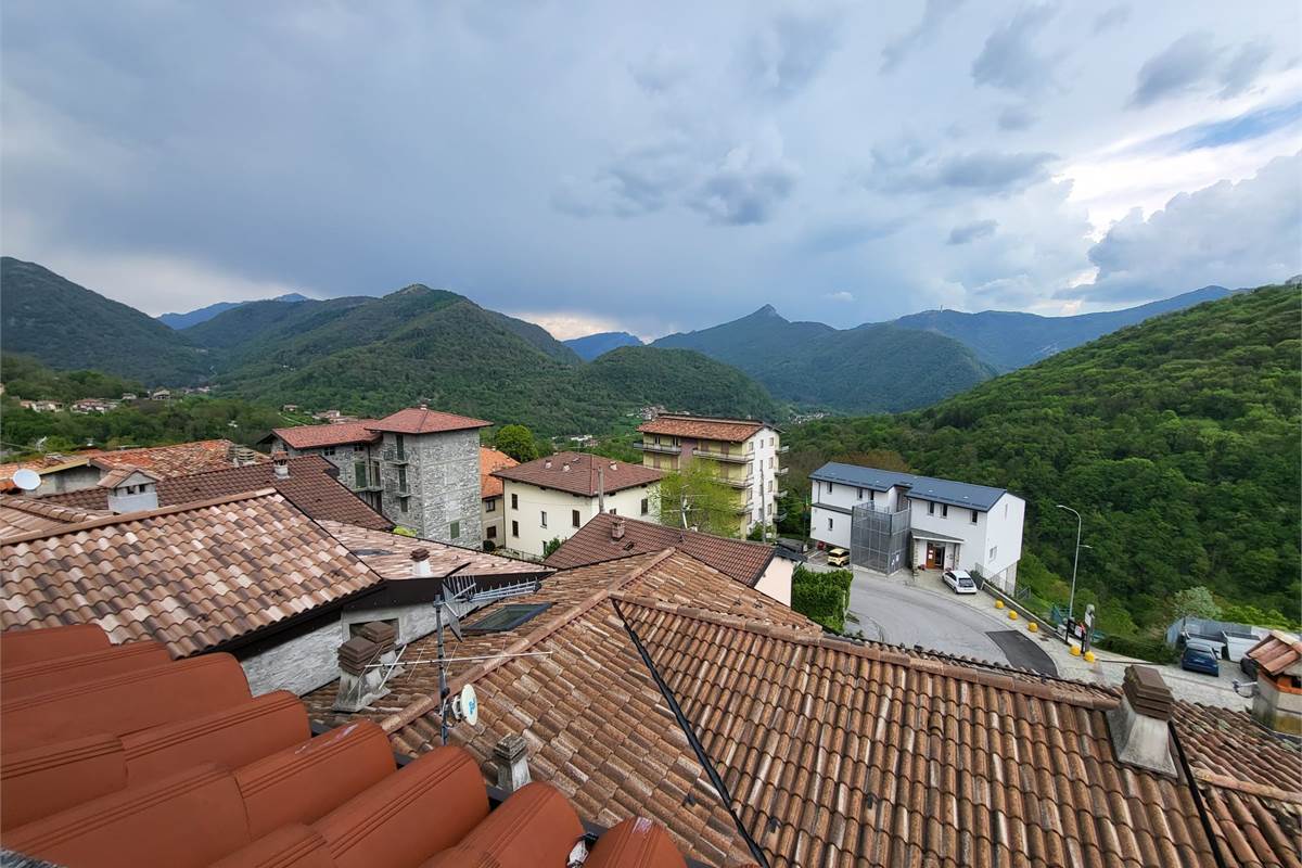 Vista