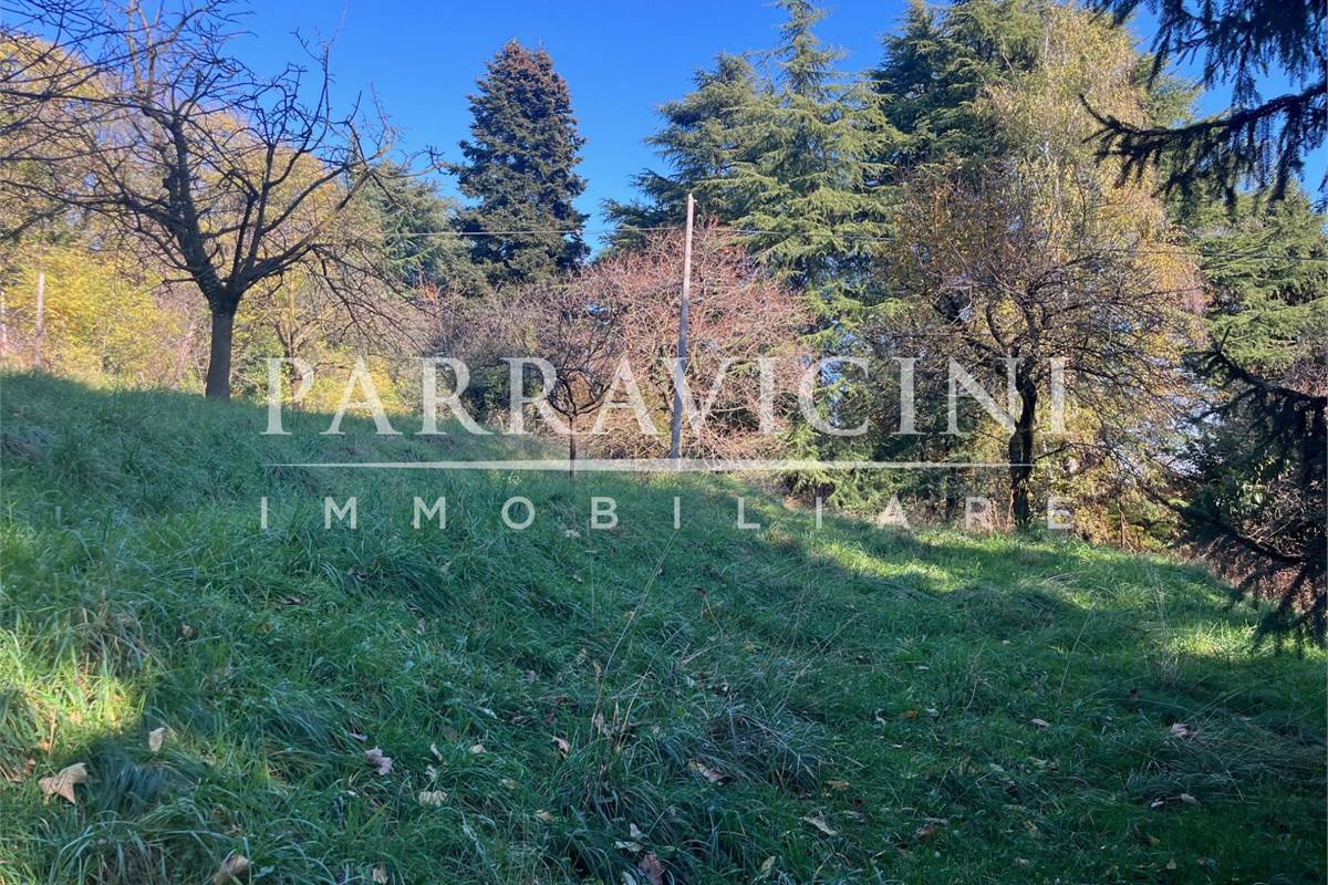 TERRENO A DESTINAZIONE AGRICOLA E BOSCHIVA