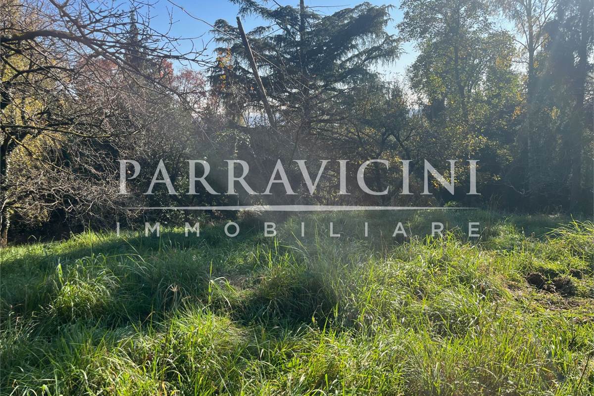 TERRENO A DESTINAZIONE AGRICOLA E BOSCHIVA