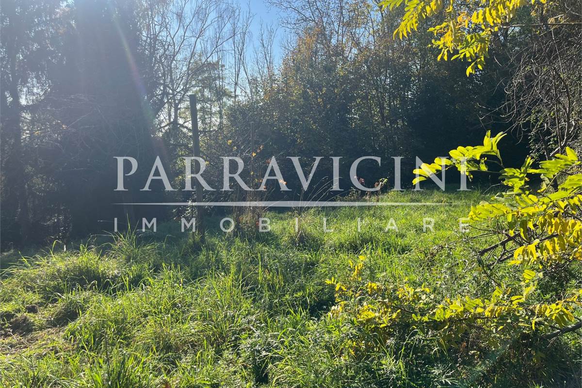 TERRENO A DESTINAZIONE AGRICOLA E BOSCHIVA