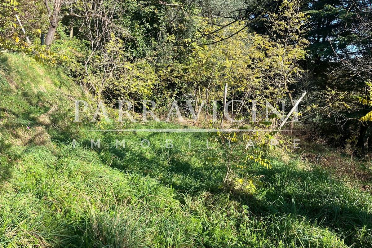 TERRENO A DESTINAZIONE AGRICOLA E BOSCHIVA