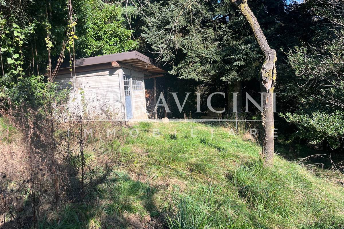 TERRENO A DESTINAZIONE AGRICOLA E BOSCHIVA