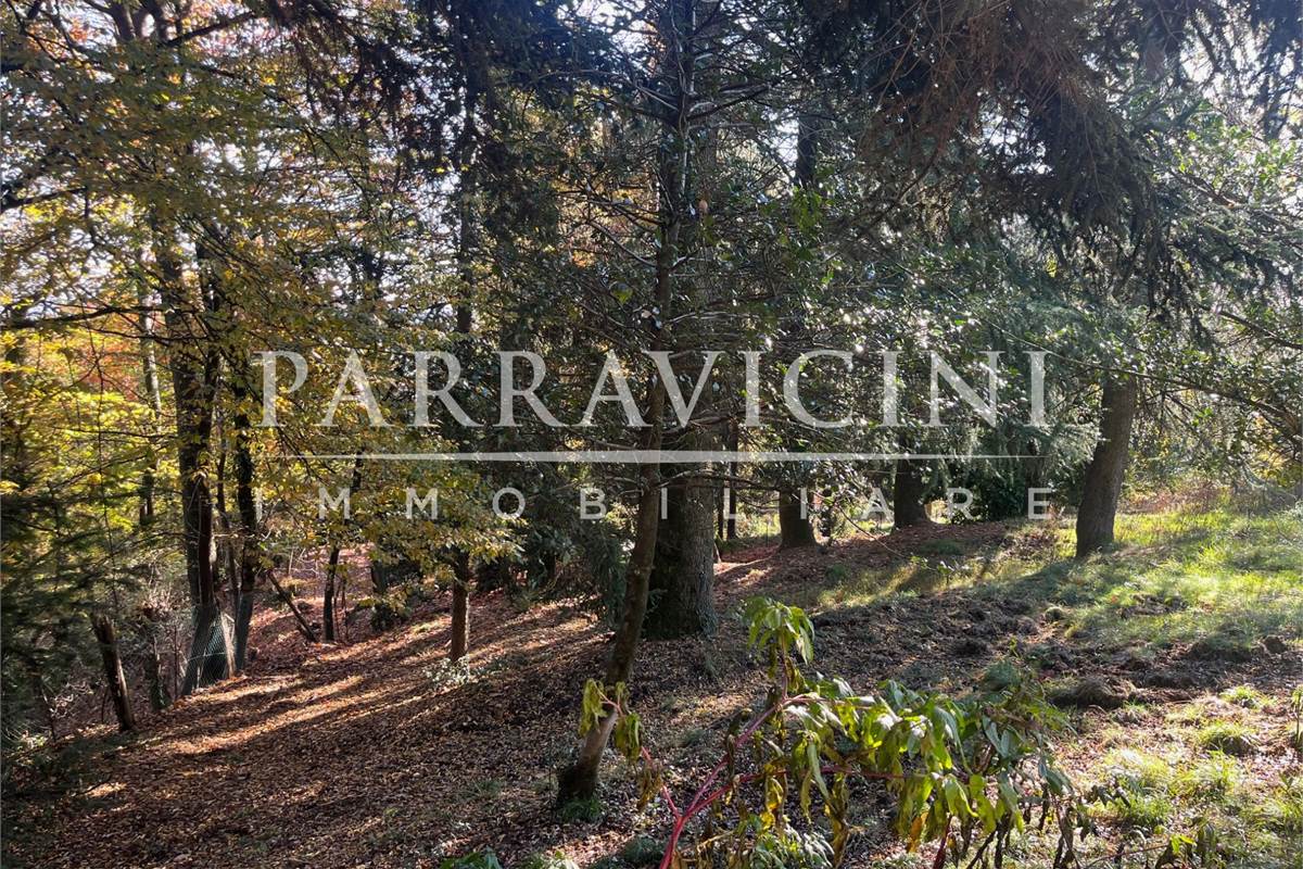 TERRENO A DESTINAZIONE AGRICOLA E BOSCHIVA