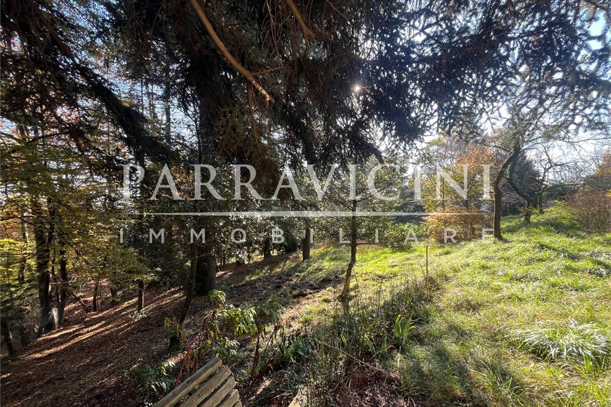 TERRENO A DESTINAZIONE AGRICOLA E BOSCHIVA