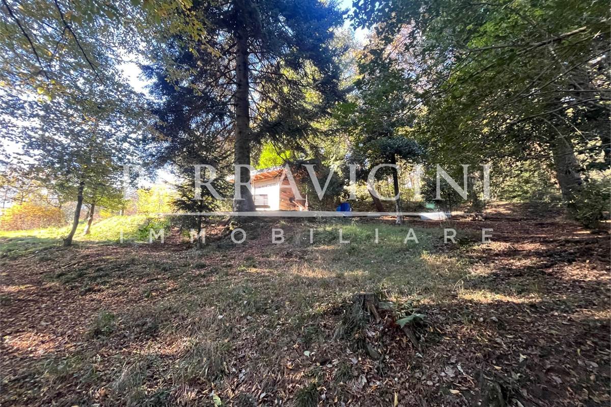 TERRENO A DESTINAZIONE AGRICOLA E BOSCHIVA