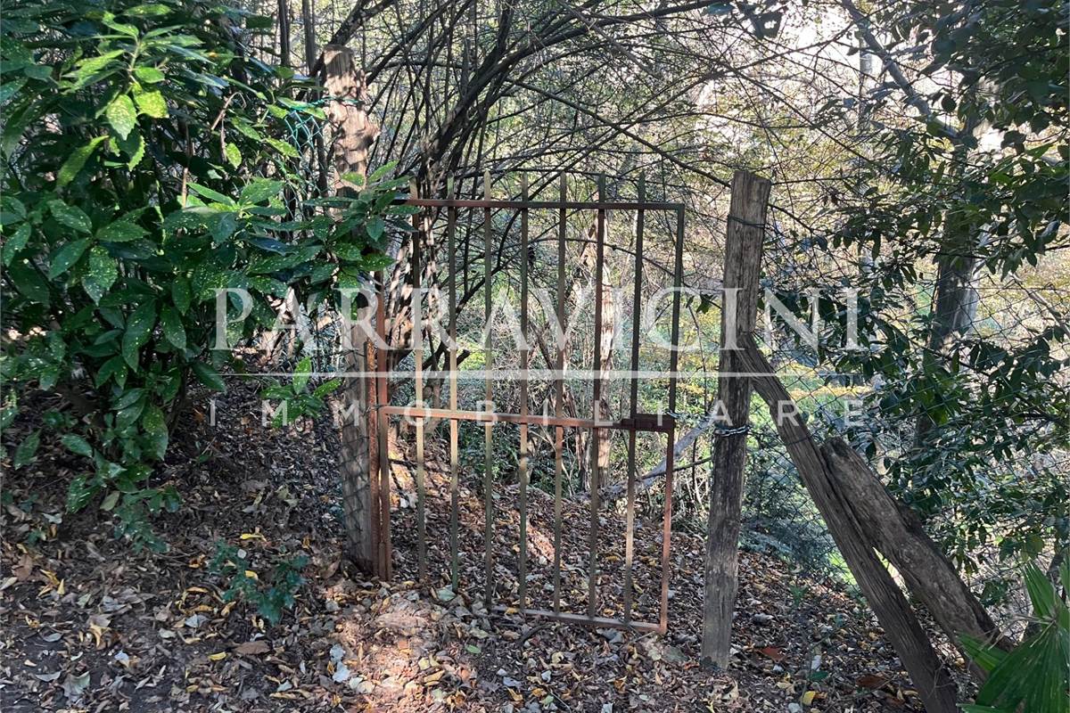 TERRENO A DESTINAZIONE AGRICOLA E BOSCHIVA