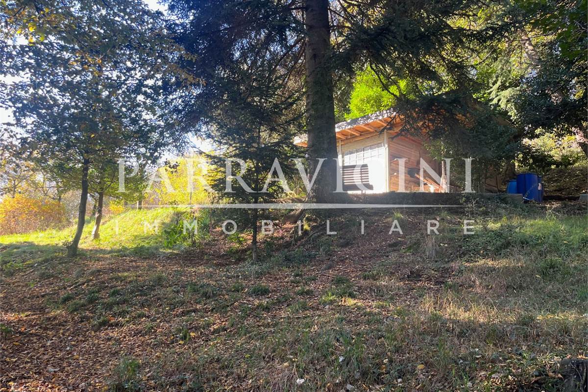 TERRENO A DESTINAZIONE AGRICOLA E BOSCHIVA