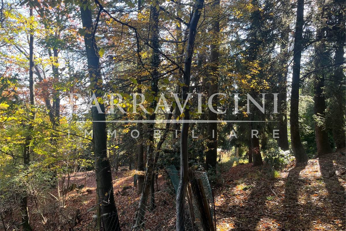 TERRENO A DESTINAZIONE AGRICOLA E BOSCHIVA