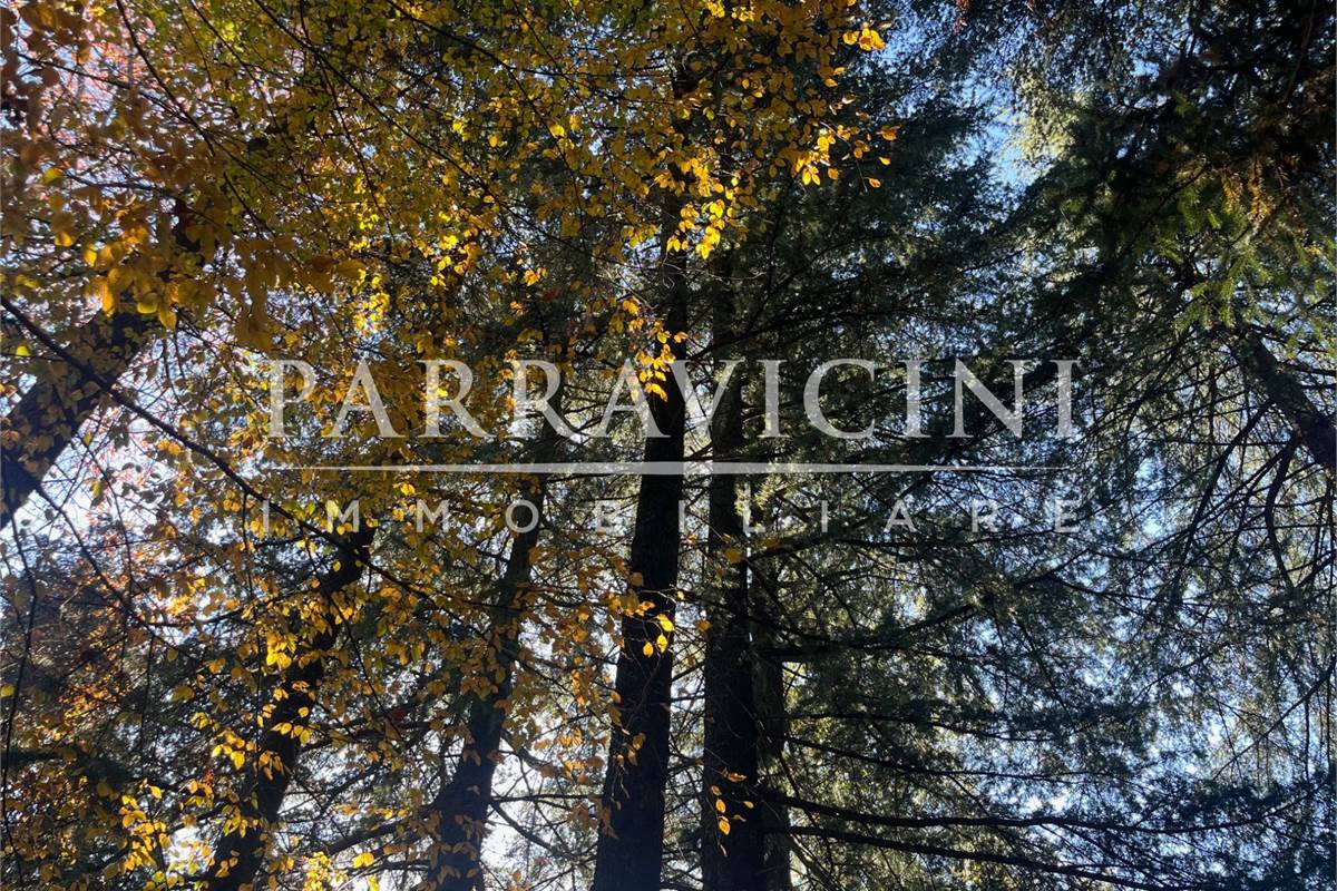 TERRENO A DESTINAZIONE AGRICOLA E BOSCHIVA