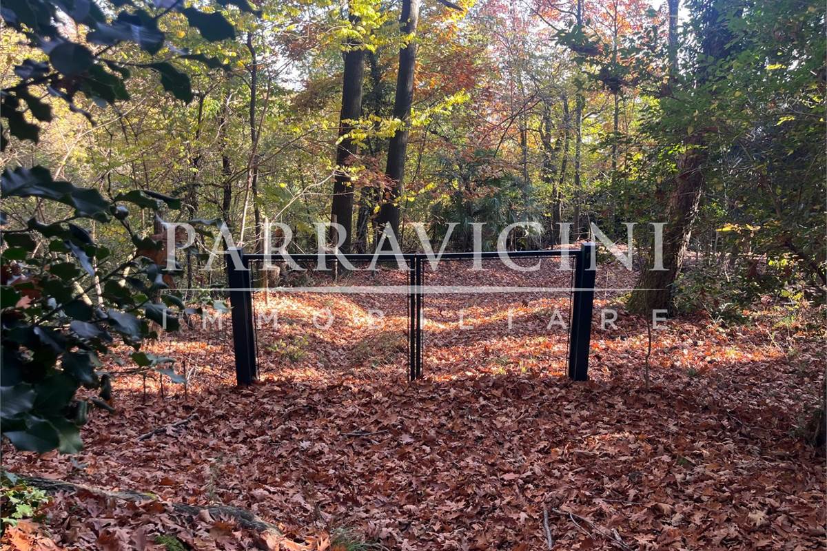 TERRENO A DESTINAZIONE AGRICOLA E BOSCHIVA