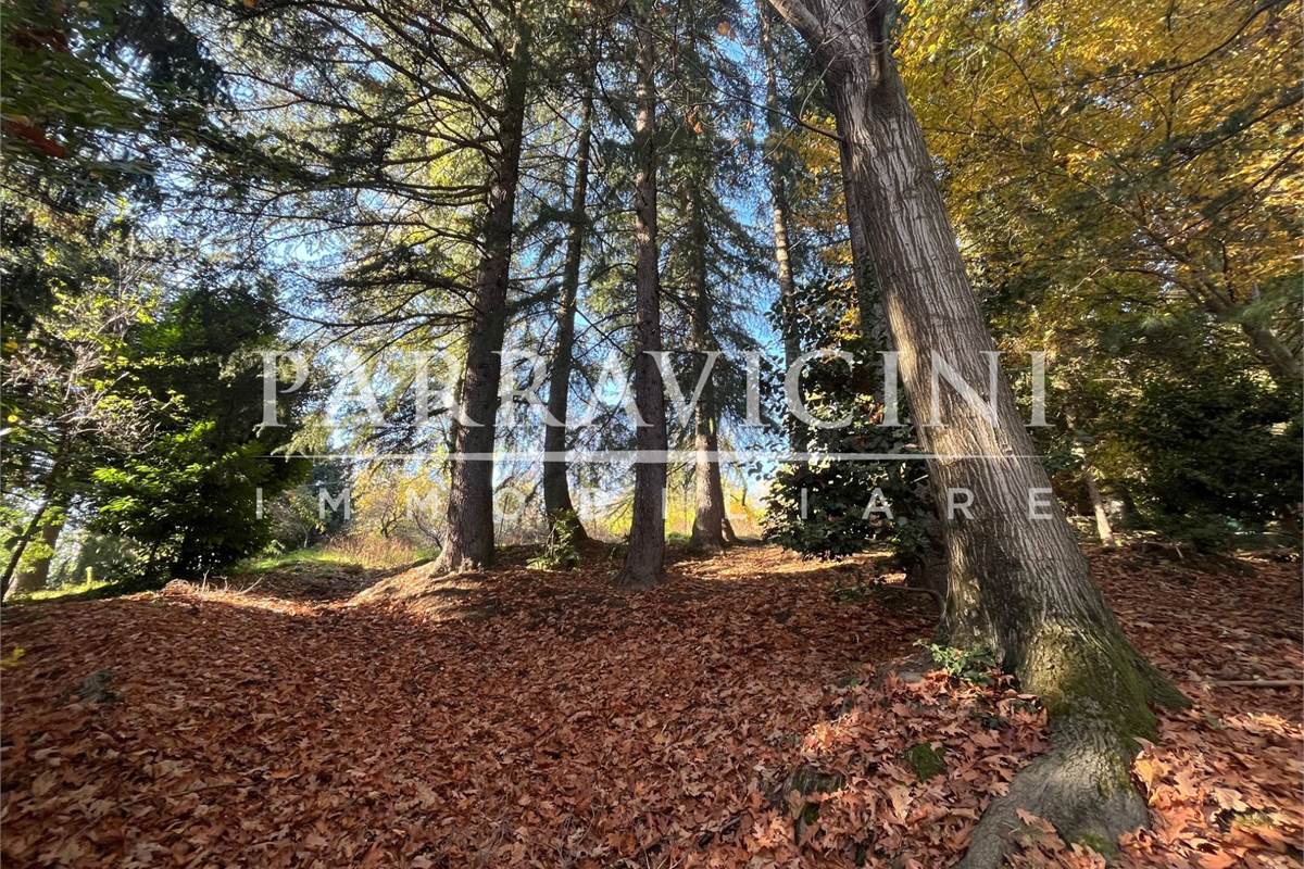 TERRENO A DESTINAZIONE AGRICOLA E BOSCHIVA