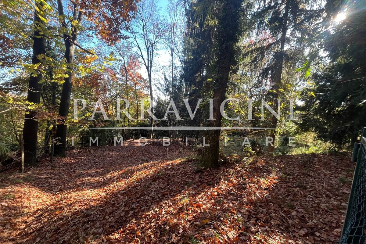 TERRENO A DESTINAZIONE AGRICOLA E BOSCHIVA