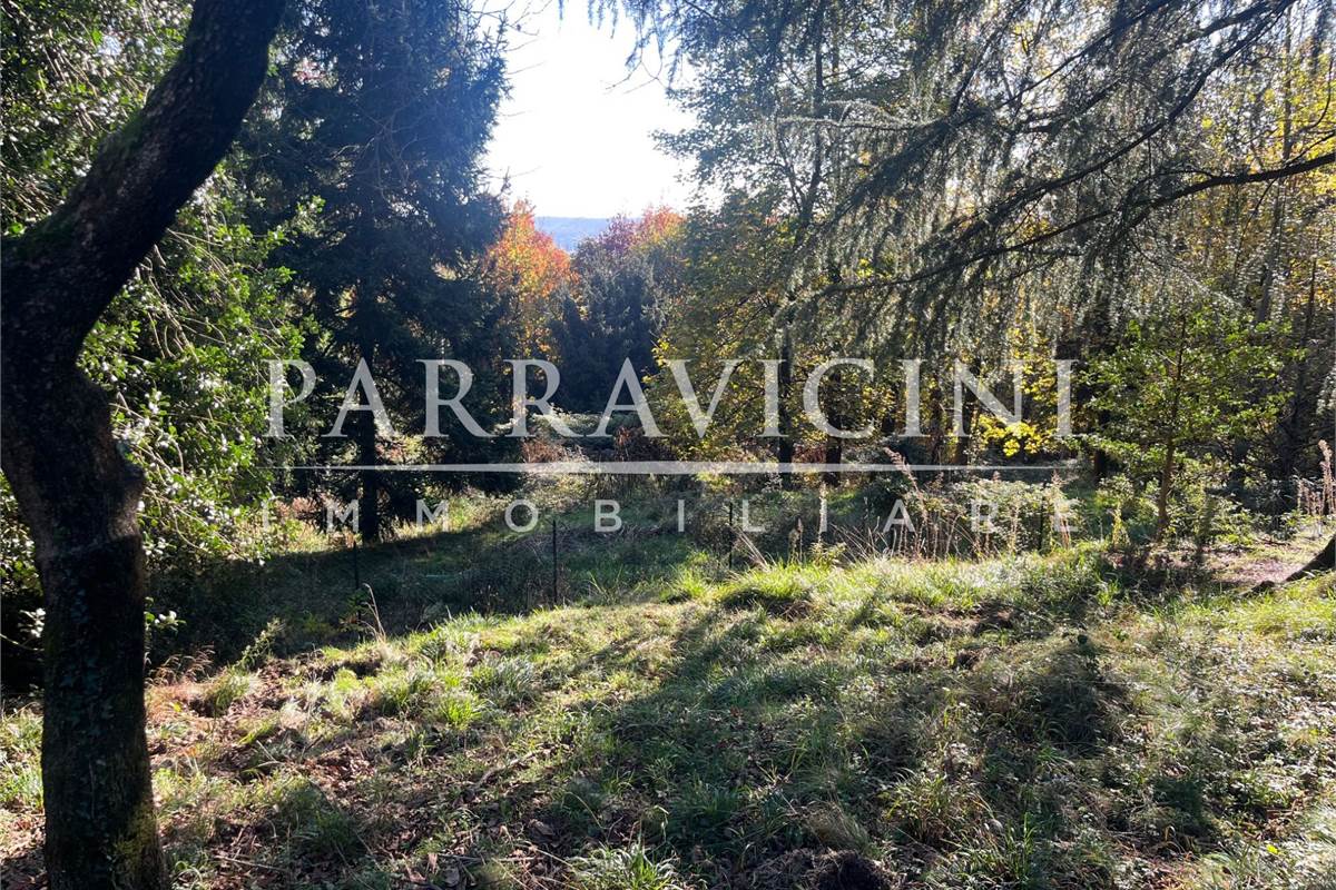 TERRENO A DESTINAZIONE AGRICOLA E BOSCHIVA
