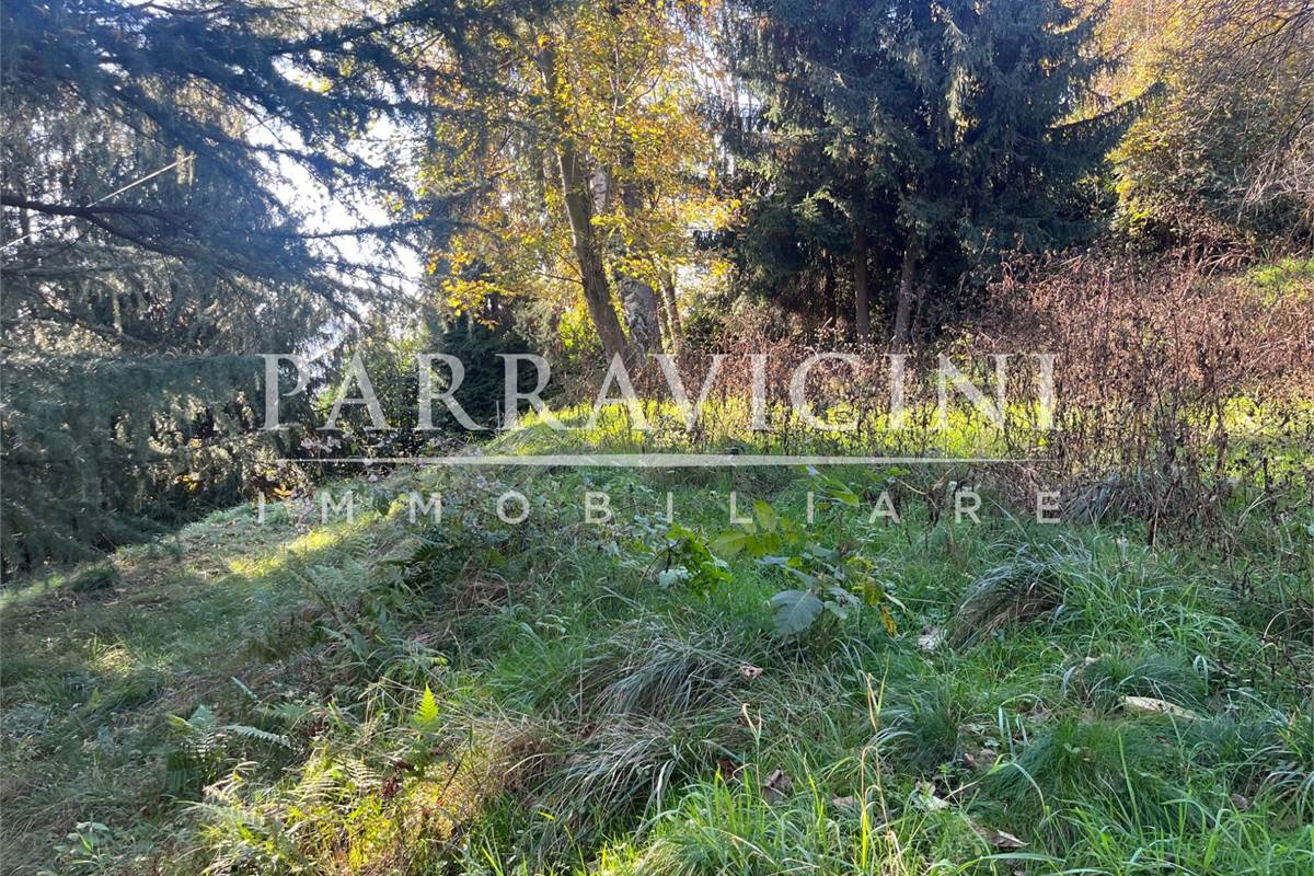 TERRENO A DESTINAZIONE AGRICOLA E BOSCHIVA