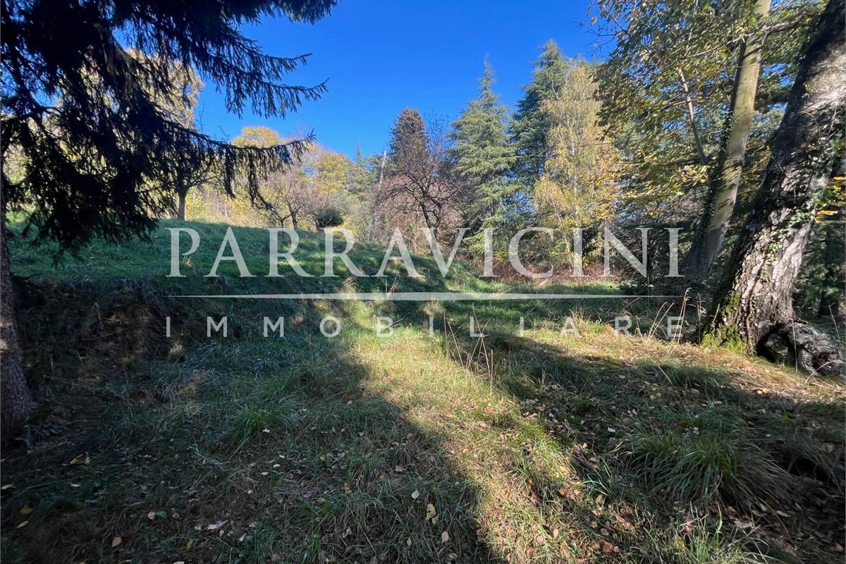 TERRENO A DESTINAZIONE AGRICOLA E BOSCHIVA