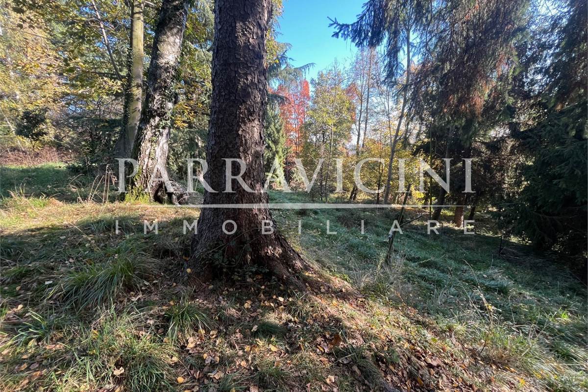 TERRENO A DESTINAZIONE AGRICOLA E BOSCHIVA