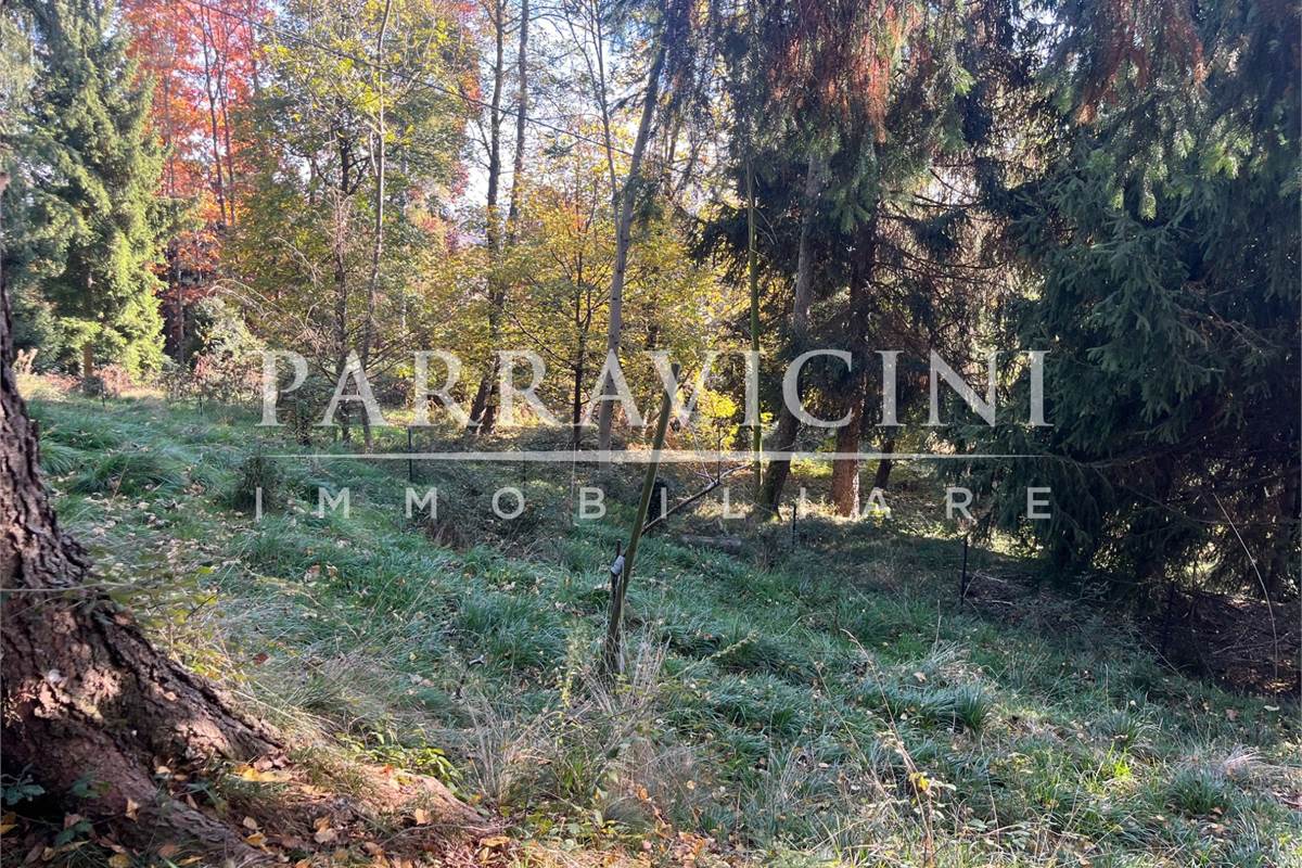 TERRENO A DESTINAZIONE AGRICOLA E BOSCHIVA