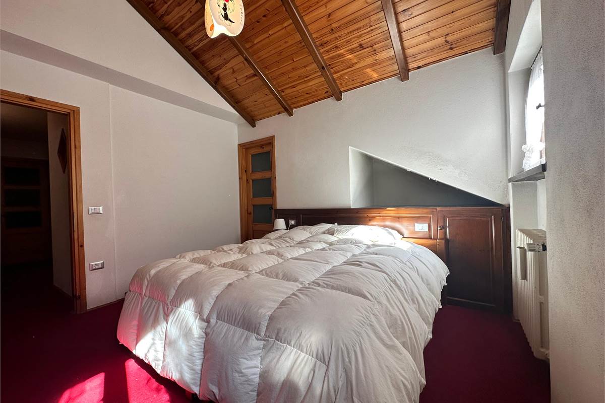 Ampia villa con pineta