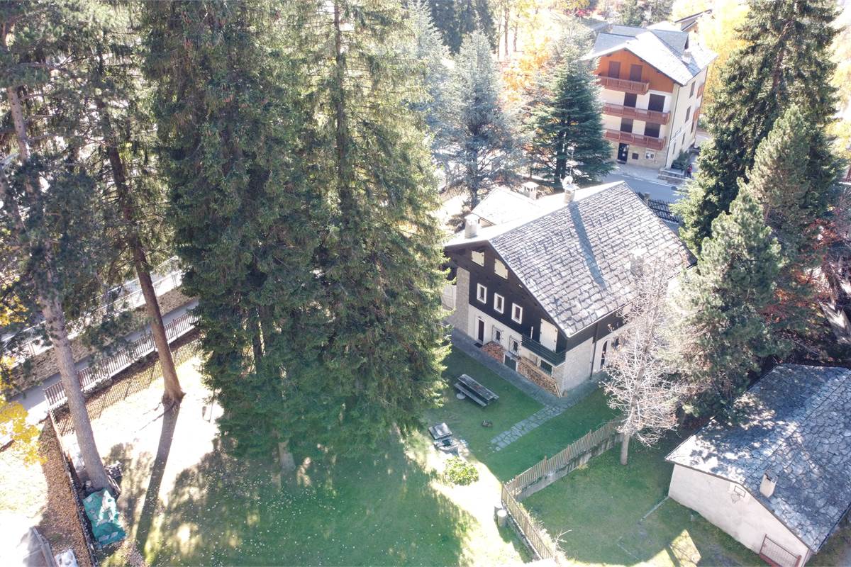 Ampia villa con pineta