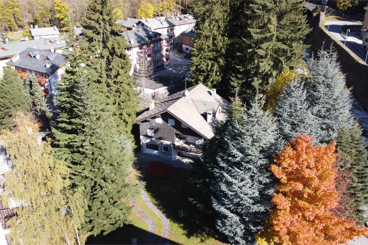 Ampia villa con pineta