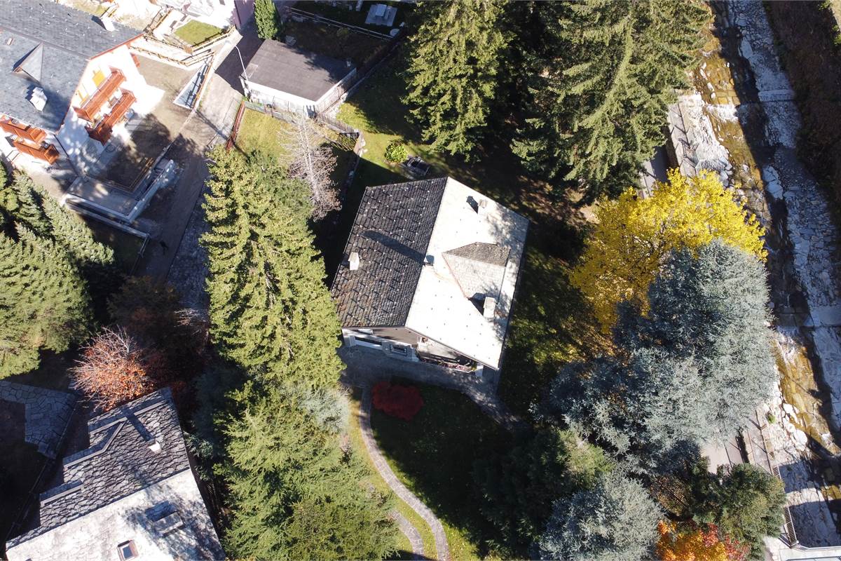 Ampia villa con pineta