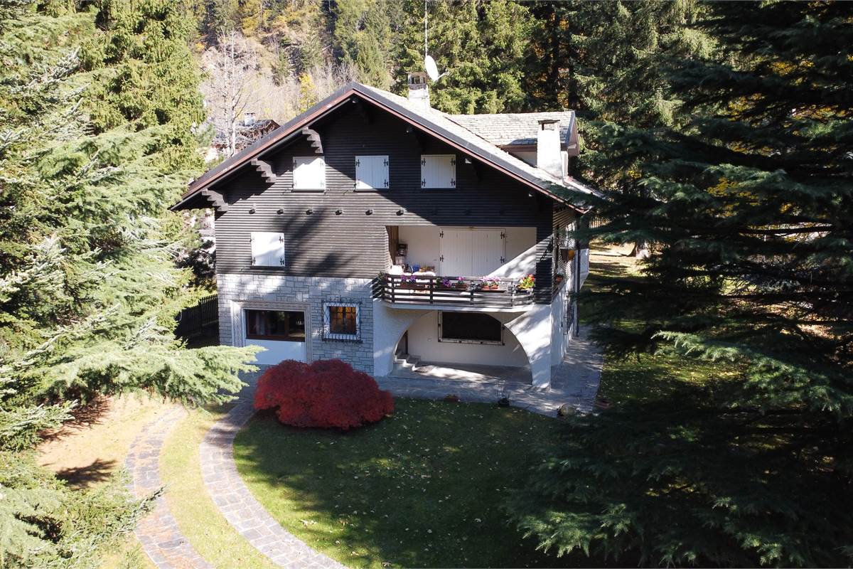 Ampia villa con pineta