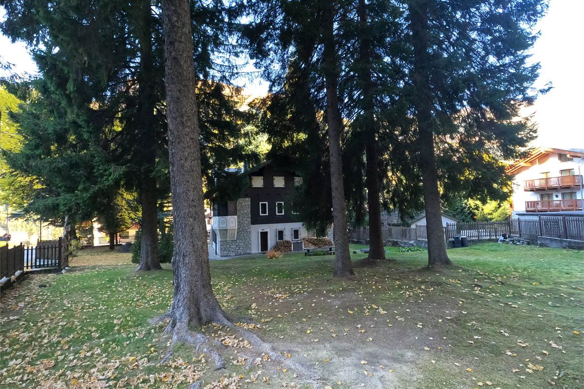 Ampia villa con pineta