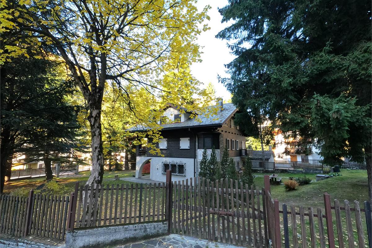 Ampia villa con pineta