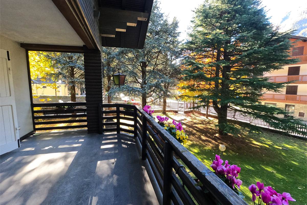 Ampia villa con pineta