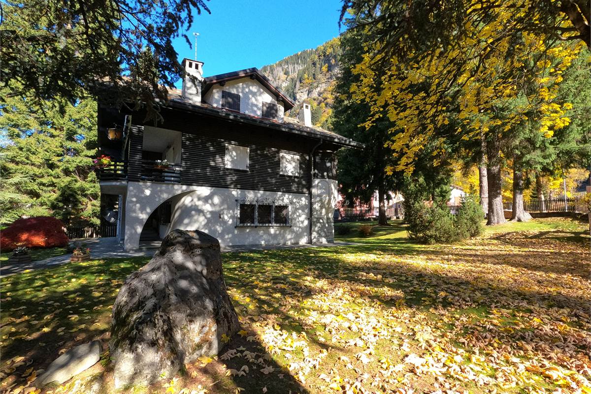 Ampia villa con pineta