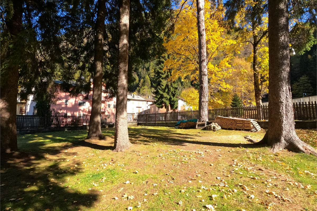 Ampia villa con pineta