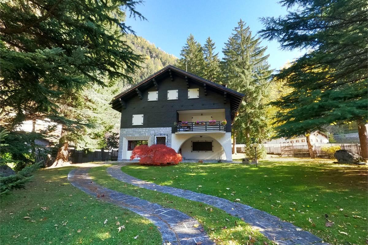 Ampia villa con pineta