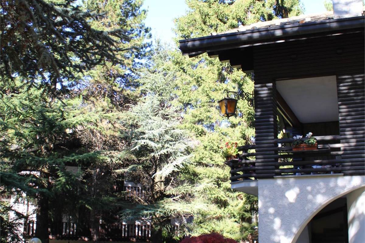 Ampia villa con pineta