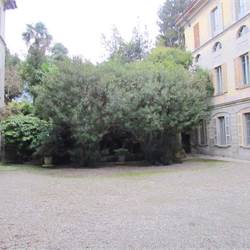 Ampio appartamento da ristrutturare