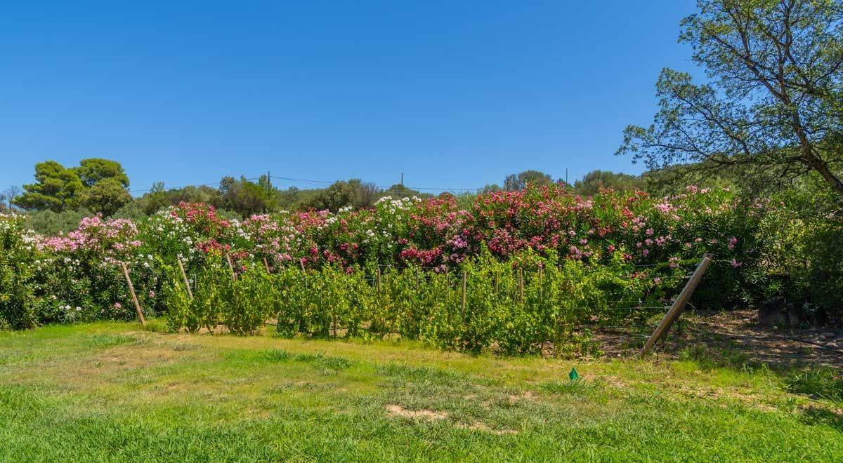 Villa di pregio con stupenda vista mare