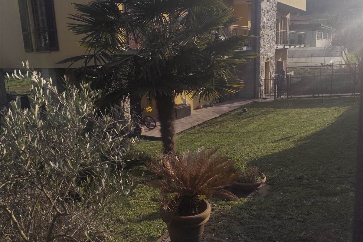 APPARTAMENTO INDIPENDENTE TRILOCALE CON GIARDINO - ORSENIGO - COMO