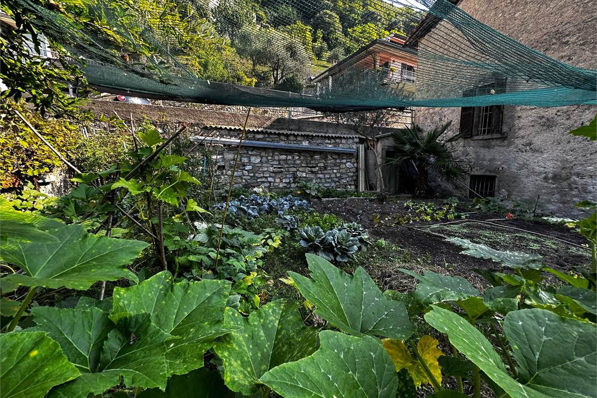 RUSTICO CASLINO D'ERBA