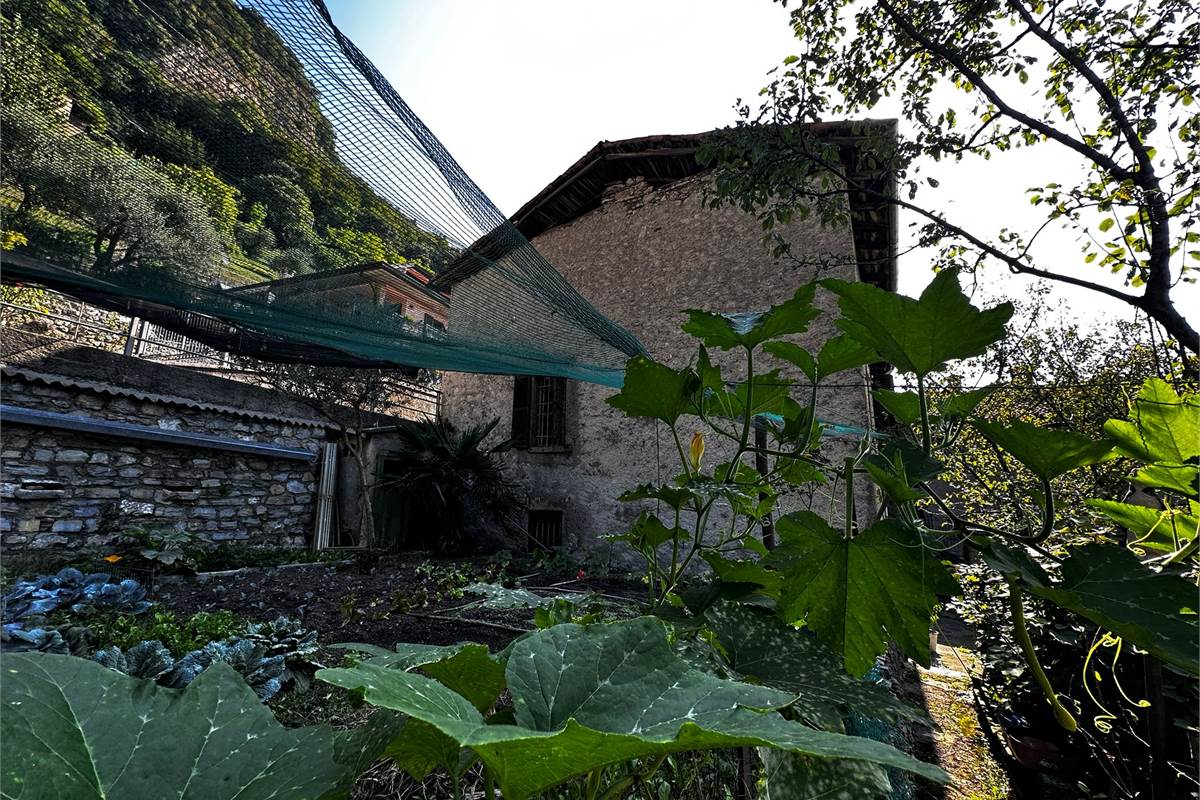 RUSTICO CASLINO D'ERBA