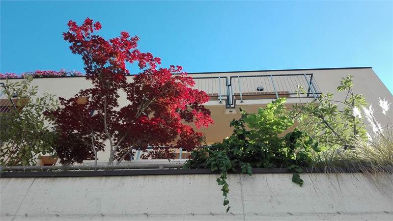 ALBAVILLA TRILOCALE CON TERRAZZO