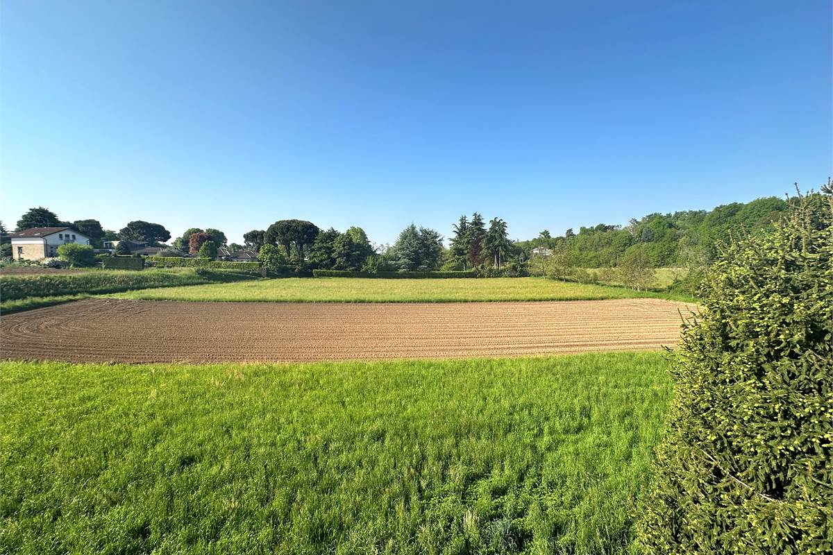 4 o più locali In Vendita a 