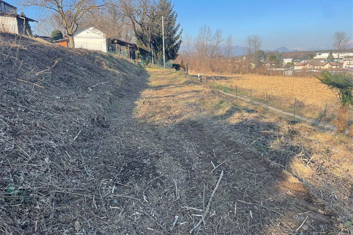 TERRENO AGRICOLO PANORAMICO