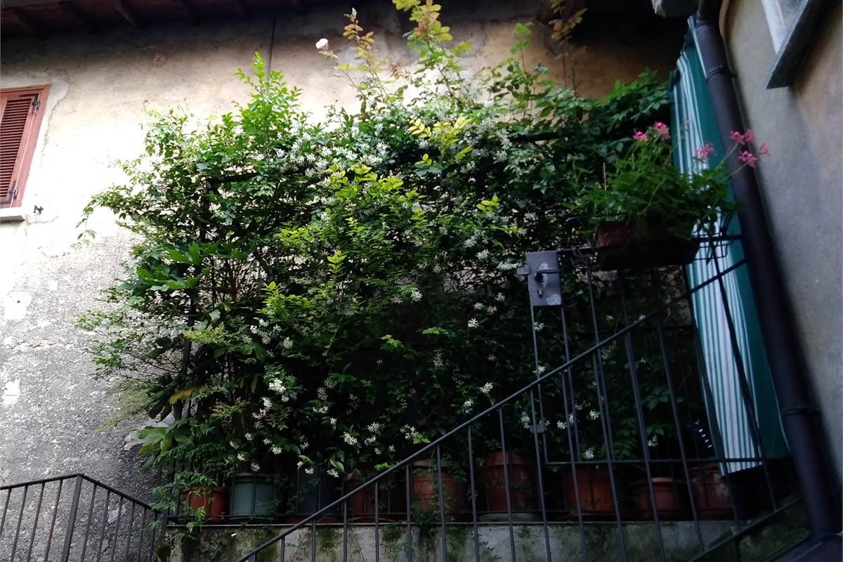 POGNANA LARIO VISTA LAGO DA SOGNO