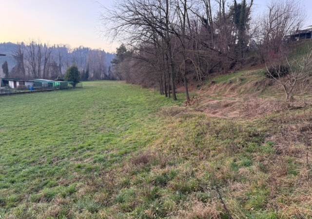 Terreno seminativo boschivo a Cantù Cucciago 