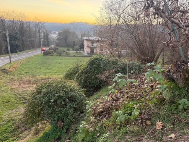 Terreno seminativo boschivo a Cantù Cucciago 