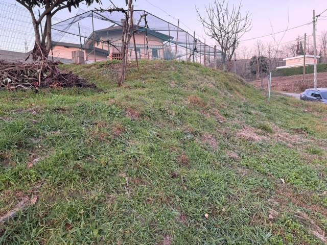 Terreno seminativo boschivo a Cantù Cucciago 